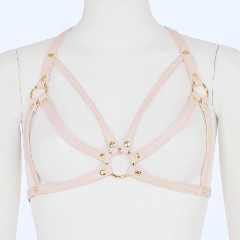 Playful Promises Pink Leather Harness
